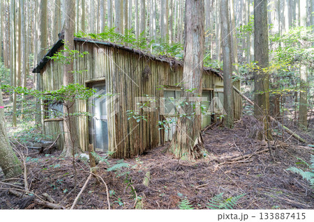 岩湧山三合目と紀見峠の間にある小屋（金剛生駒紀泉国定公園） 133887415