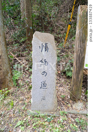 紀見峠(金剛生駒紀泉国定公園) 紀見峠(金剛生駒紀泉国定公園) 133887419