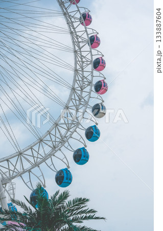 Majestic View of a Ferris Wheel with Colorful Blue and Pink Gondolas Against the 133887604