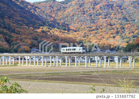 晩秋の井原鉄道 晩秋の井原鉄道 133887792