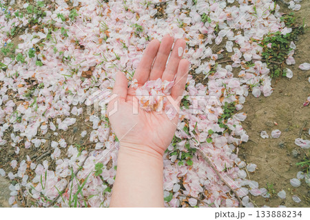 various various 133888234