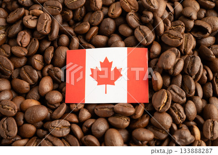 Canada flag on coffee bean, import export trade online commerce. Canada flag on coffee bean, import export trade online commerce. 133888287