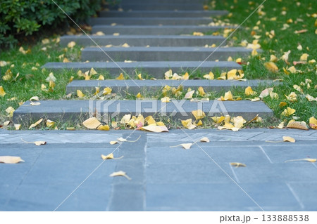 無人 秋 あき 133888538