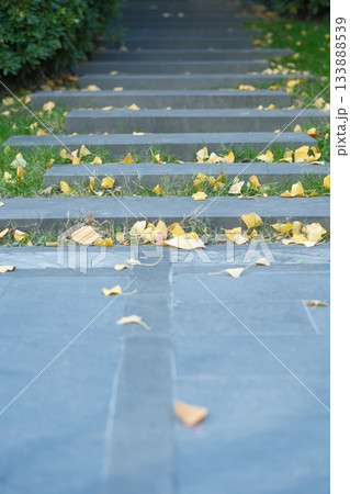 無人 秋 あき 133888539