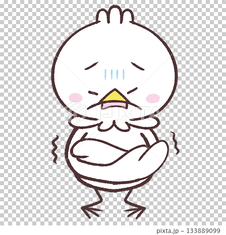 震える白い鳥のイラスト 震える白い鳥のイラスト 133889099