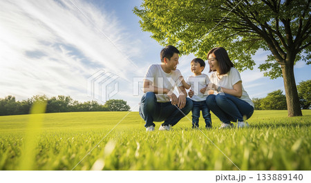 公園の芝生で家族で遊ぶシーン 公園の芝生で家族で遊ぶシーン 133889140