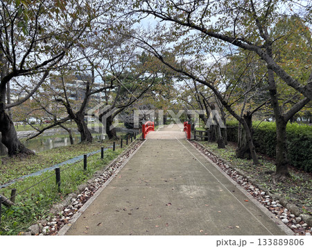 愛知県刈谷市にある亀城公園 愛知県刈谷市にある亀城公園 133889806