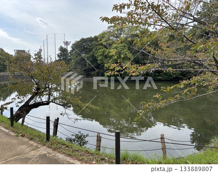 愛知県刈谷市にある亀城公園 愛知県刈谷市にある亀城公園 133889807