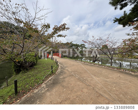 愛知県刈谷市にある亀城公園 愛知県刈谷市にある亀城公園 133889808