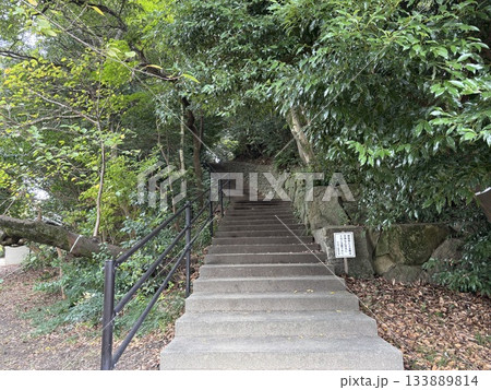 愛知県刈谷市にある亀城公園 愛知県刈谷市にある亀城公園 133889814
