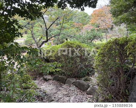 愛知県刈谷市にある亀城公園 133889816