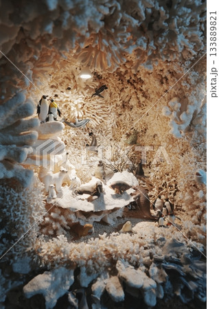 龍宮城のような美しさ！台湾・三芝の秘境「珊瑚貝殻廟」 133889821