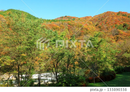 秋の抱返り渓谷 133890338