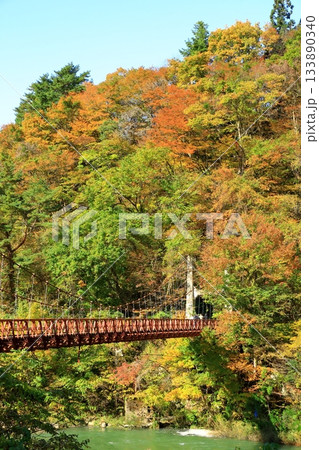 秋の抱返り渓谷 秋の抱返り渓谷 133890340