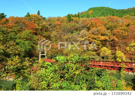 秋の抱返り渓谷 133890342