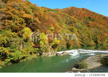 秋の抱返り渓谷 133890346