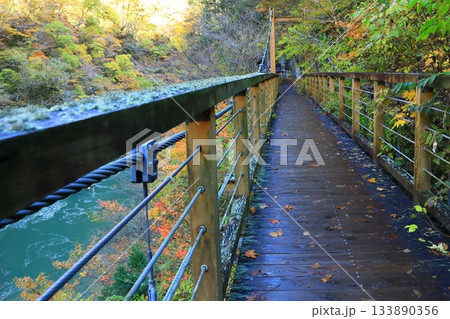 秋の抱返り渓谷 133890356