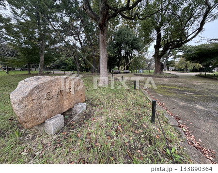 愛知県刈谷市にある亀城公園 愛知県刈谷市にある亀城公園 133890364
