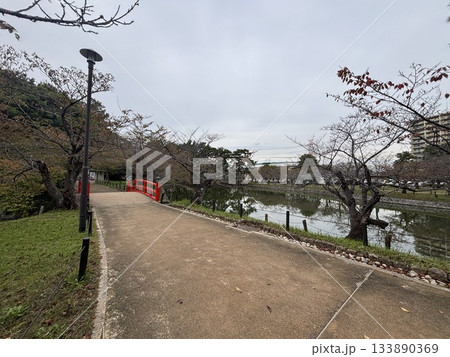 愛知県刈谷市にある亀城公園 愛知県刈谷市にある亀城公園 133890369