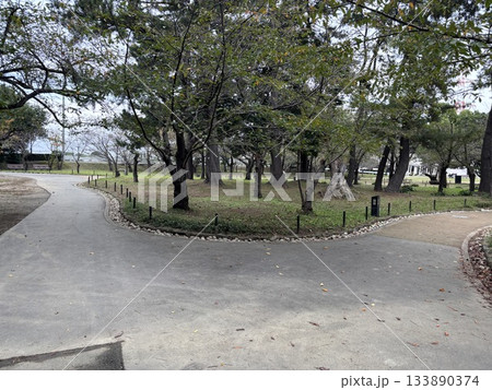 愛知県刈谷市にある亀城公園 愛知県刈谷市にある亀城公園 133890374