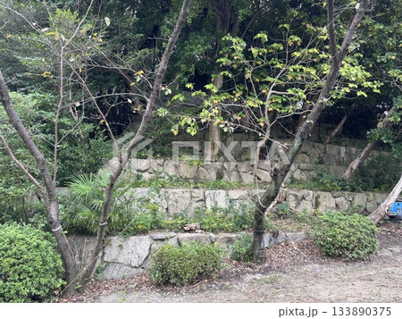 愛知県刈谷市にある亀城公園 愛知県刈谷市にある亀城公園 133890375