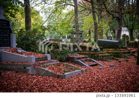 Ghent, Belgium - November 16 2024. Ancient cemetery tombs and grave stones on Campo Santo historical old graveyard in Sint-amandsberg municipality Ghent, Belgium - November 16 2024. Ancient cemetery tombs and grave stones on Campo Santo historical old graveyard in Sint-amandsberg municipality 133891061
