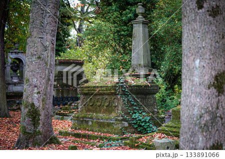 Ghent, Belgium - November 16 2024. Ancient cemetery tombs and grave stones on Campo Santo historical old graveyard in Sint-amandsberg municipality Ghent, Belgium - November 16 2024. Ancient cemetery tombs and grave stones on Campo Santo historical old graveyard in Sint-amandsberg municipality 133891066