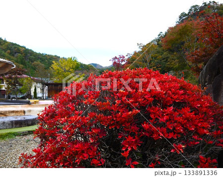 紅葉に彩られた公園 紅葉に彩られた公園 133891336