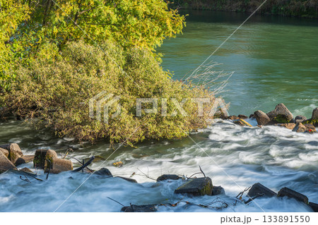 三栖洗堰から宇治川へ注ぎ込む急流　京都市伏見区 133891550