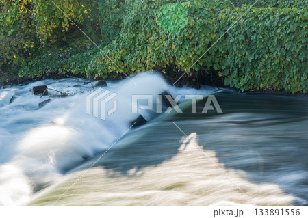 三栖洗堰から宇治川へ注ぎ込む急流 京都市伏見区 三栖洗堰から宇治川へ注ぎ込む急流 京都市伏見区 133891556