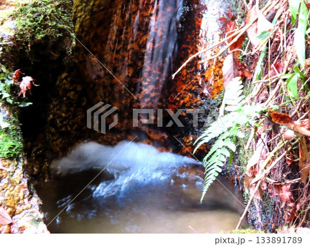 石舞台の 下流、清流&峡谷、名もない小さな滝：大阪府府民の森 133891789