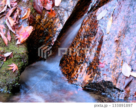 石舞台の 下流、清流&峡谷、名もない小さな滝：大阪府府民の森 133891897