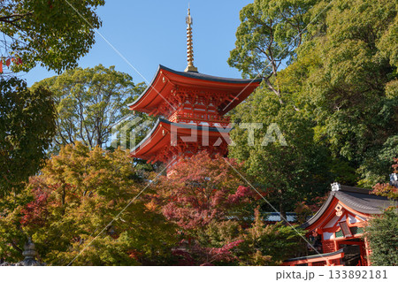 秋の神戸・須磨寺・三重塔と紅葉 秋の神戸・須磨寺・三重塔と紅葉 133892181
