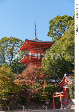 秋の神戸・須磨寺・三重塔と紅葉 秋の神戸・須磨寺・三重塔と紅葉 133892183