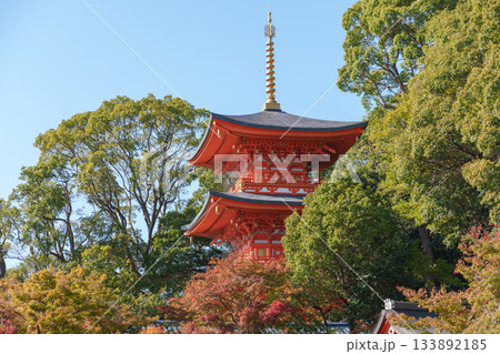 秋の神戸・須磨寺・三重塔と紅葉 133892185