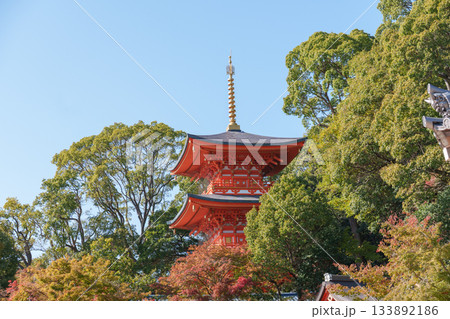 秋の神戸・須磨寺・三重塔と紅葉 133892186