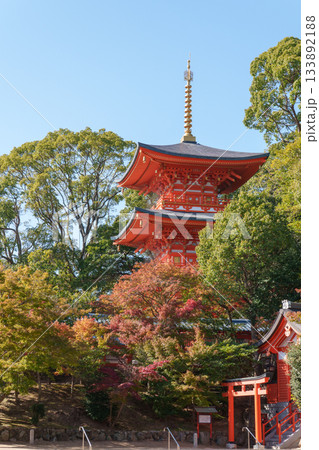 秋の神戸・須磨寺・三重塔と紅葉 133892188