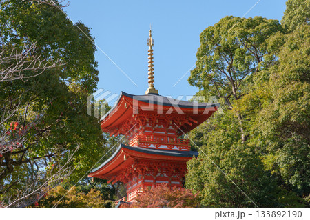 秋の神戸・須磨寺・三重塔と紅葉 秋の神戸・須磨寺・三重塔と紅葉 133892190