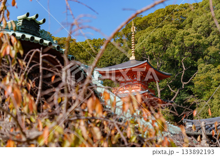 秋の神戸・須磨寺・三重塔と紅葉 秋の神戸・須磨寺・三重塔と紅葉 133892193