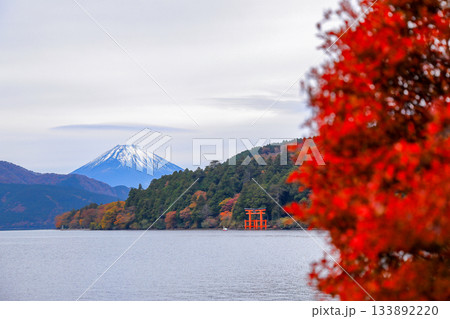 紅葉の湖畔より望む富士山(芦ノ湖) 神奈川県箱根町 紅葉の湖畔より望む富士山(芦ノ湖) 神奈川県箱根町 133892220
