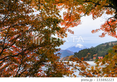紅葉の湖畔より望む富士山(芦ノ湖) 神奈川県箱根町 紅葉の湖畔より望む富士山(芦ノ湖) 神奈川県箱根町 133892223