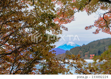 紅葉の湖畔より望む富士山(芦ノ湖) 神奈川県箱根町 紅葉の湖畔より望む富士山(芦ノ湖) 神奈川県箱根町 133892224