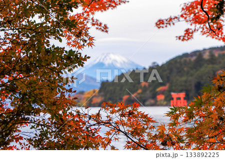 紅葉の湖畔より望む富士山(芦ノ湖) 神奈川県箱根町 紅葉の湖畔より望む富士山(芦ノ湖) 神奈川県箱根町 133892225