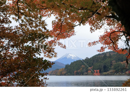 紅葉の湖畔より望む富士山(芦ノ湖) 神奈川県箱根町 紅葉の湖畔より望む富士山(芦ノ湖) 神奈川県箱根町 133892261