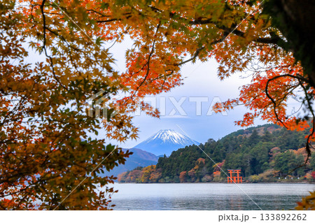 紅葉の湖畔より望む富士山(芦ノ湖) 神奈川県箱根町 紅葉の湖畔より望む富士山(芦ノ湖) 神奈川県箱根町 133892262