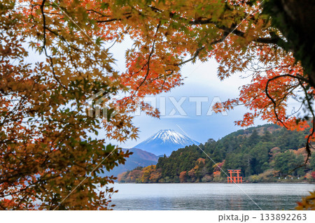 紅葉の湖畔より望む富士山(芦ノ湖) 神奈川県箱根町 紅葉の湖畔より望む富士山(芦ノ湖) 神奈川県箱根町 133892263