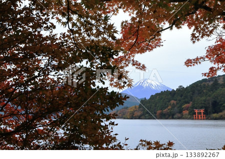 紅葉の湖畔より望む富士山(芦ノ湖) 神奈川県箱根町 紅葉の湖畔より望む富士山(芦ノ湖) 神奈川県箱根町 133892267