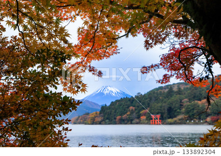 紅葉の湖畔より望む富士山（芦ノ湖）　神奈川県箱根町 133892304