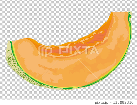 瓜的例證 瓜的例證 133892310