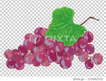 葡萄的例證 133892312